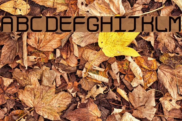 Gadolinium Rounded Font examples