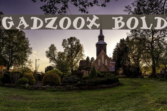 Gadzoox Bold Font examples