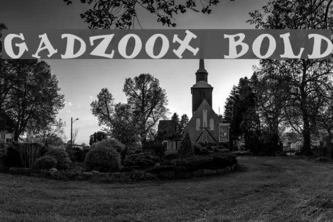 Gadzoox Bold フォント examples