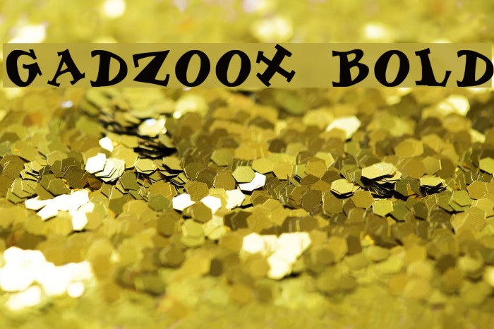 Gadzoox Bold Font examples