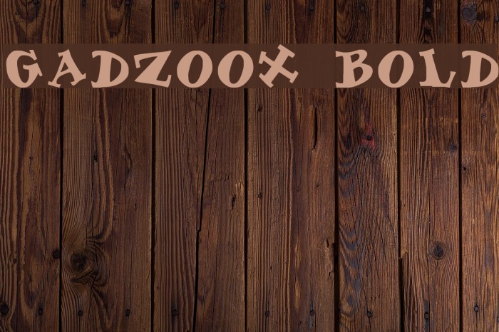 Gadzoox Bold Font examples
