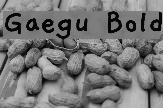 Gaegu Bold Font examples