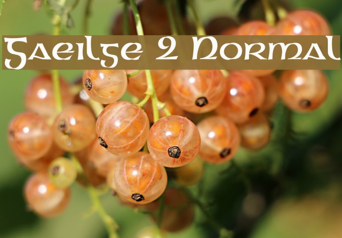 Gaeilge 2 Normal Font examples