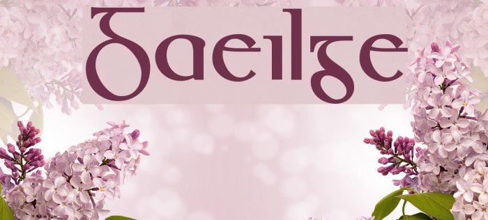Gaeilge Font examples