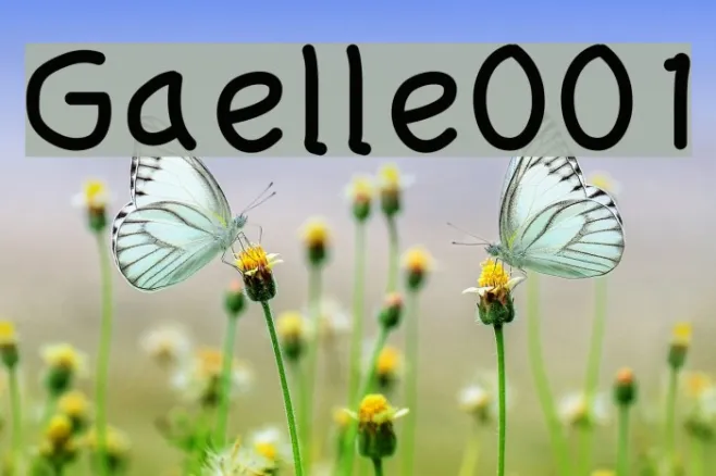 Gaelle001 Example 1