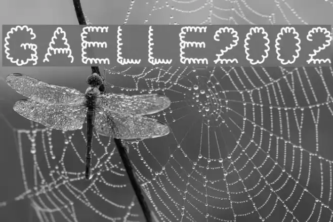 Gaelle2002 Font examples