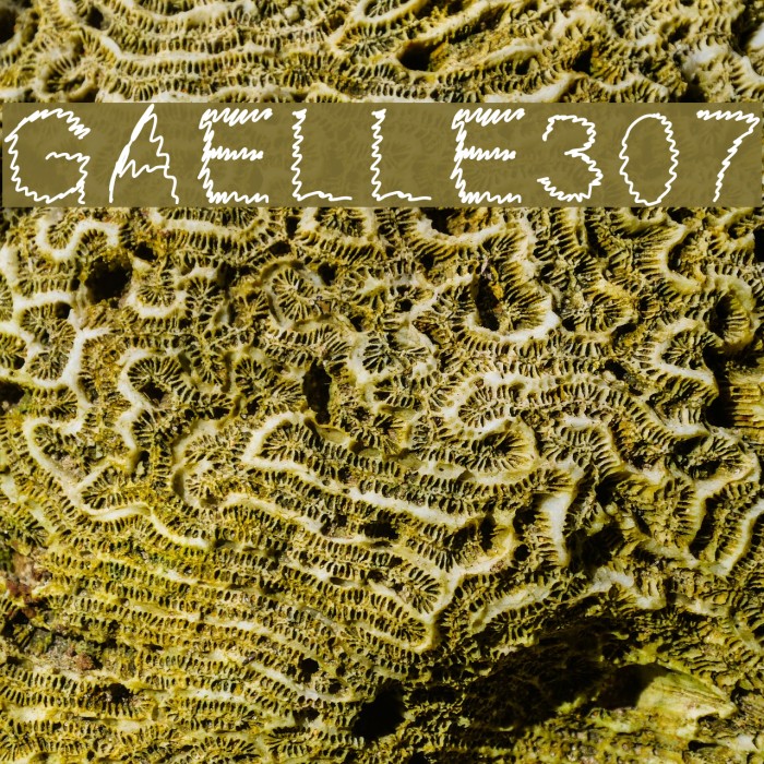 Gaelle307 Font examples