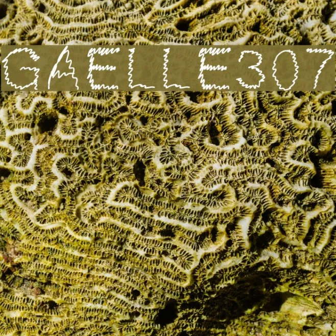 Gaelle307 Example 3