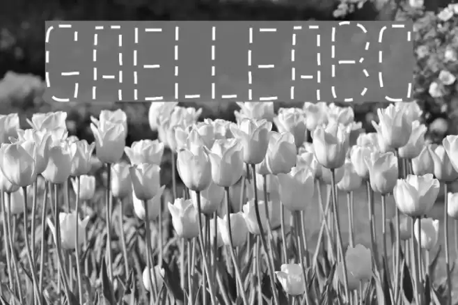 GaelleAbc Font examples