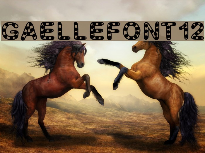 GaelleFont12 Font examples