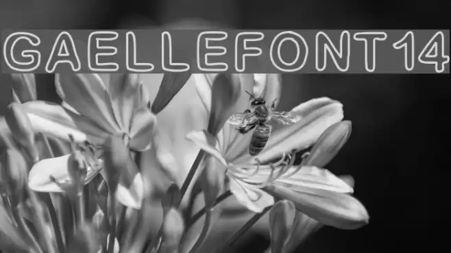 GaelleFont14 Шрифта examples