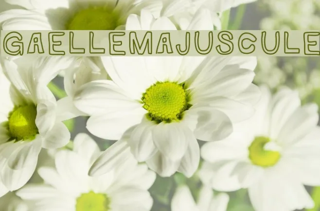 GaelleMAJUSCULE Example 2