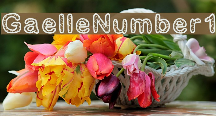 GaelleNumber1 Font examples