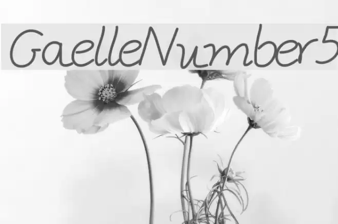 GaelleNumber5 Шрифта examples