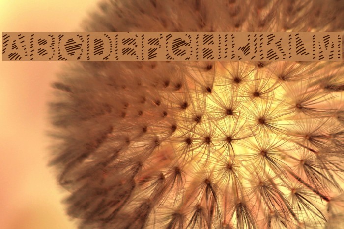 GaelleNumber6 Example 1