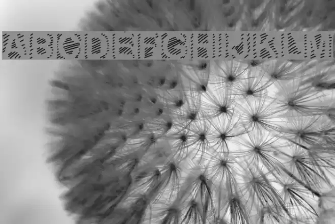 GaelleNumber6 Font examples