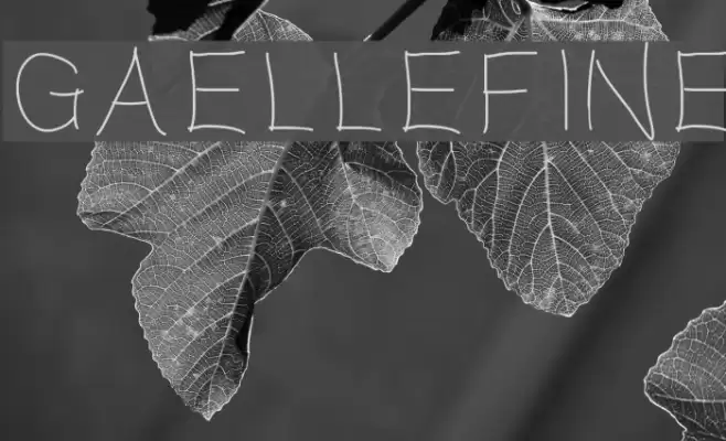 Gaellefine Font examples