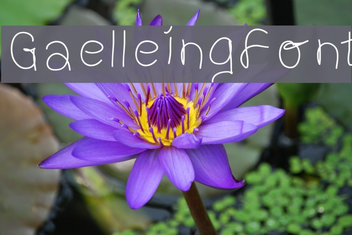 GaelleingFont Font examples