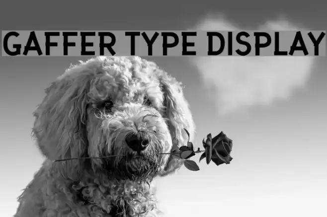 Gaffer Type Display Font examples