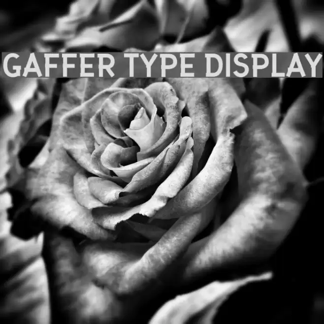 Gaffer Type Display Font examples