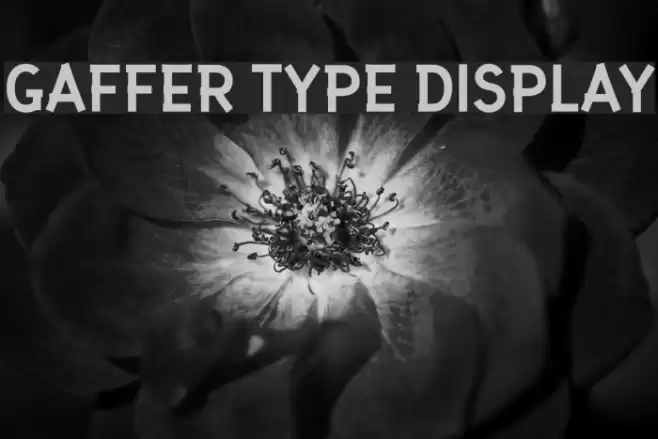 Gaffer Type Display Font examples