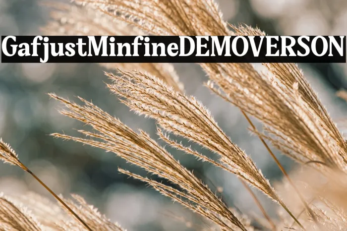 Gafjust Minfine DEMO VERSION Example 1