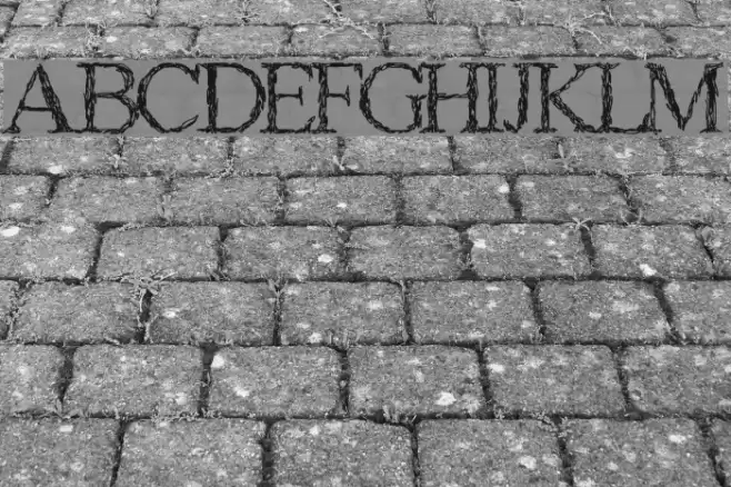 Gagaille premiere Font examples