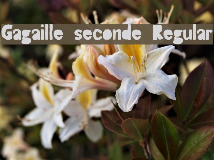 Gagaille seconde Regular Schriftart examples