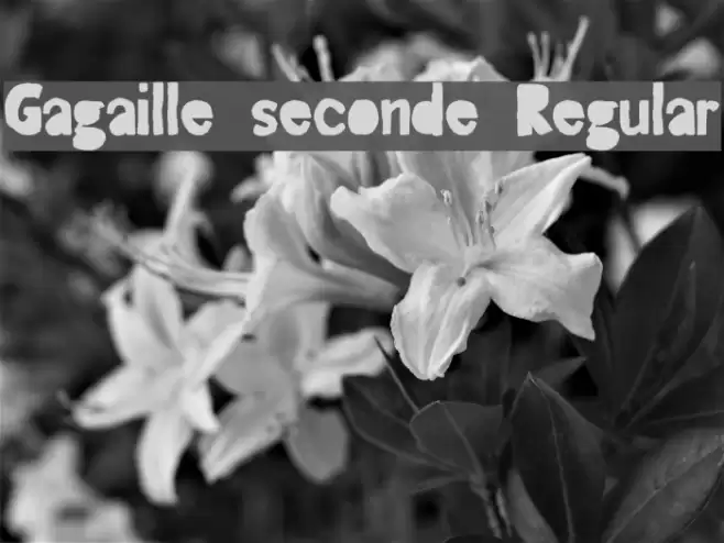 Gagaille seconde Regular Font examples