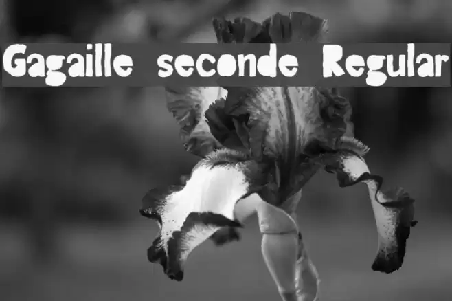 Gagaille seconde Regular Font examples