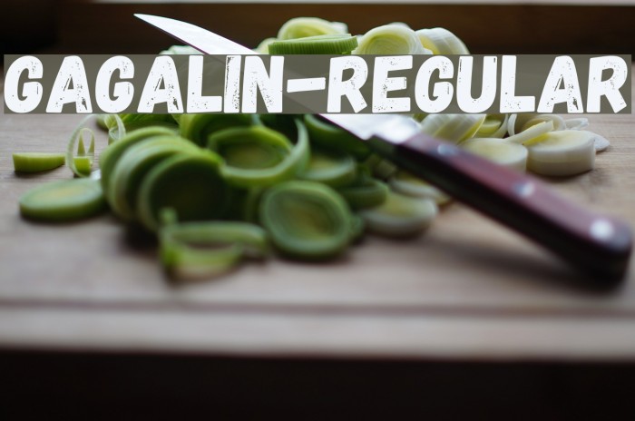 Gagalin-Regular Font examples