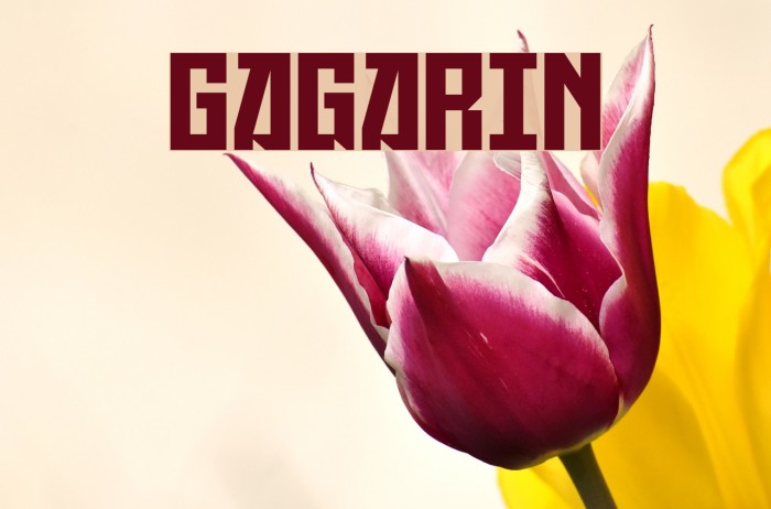 Gagarin Font examples