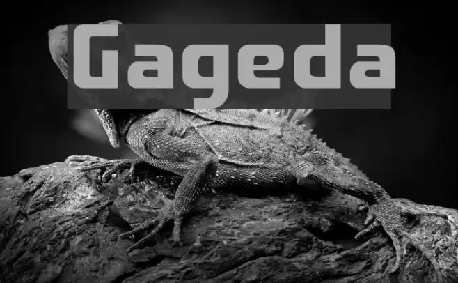Gageda Font examples