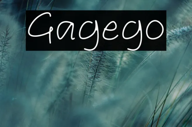 Gagego Example 2