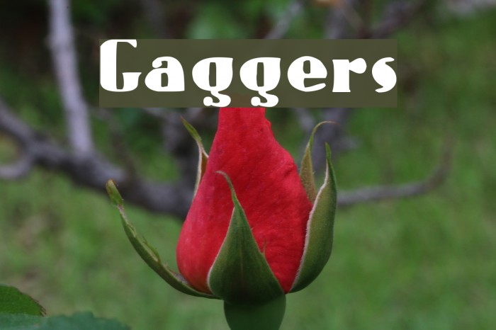 Gaggers Font examples