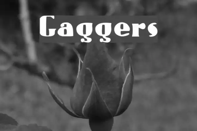 Gaggers Fonte examples