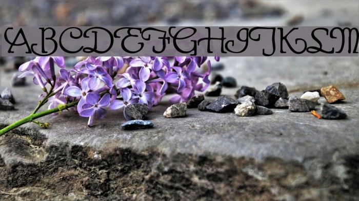 Gaheris Demo Font examples