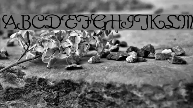 Gaheris Demo Font examples