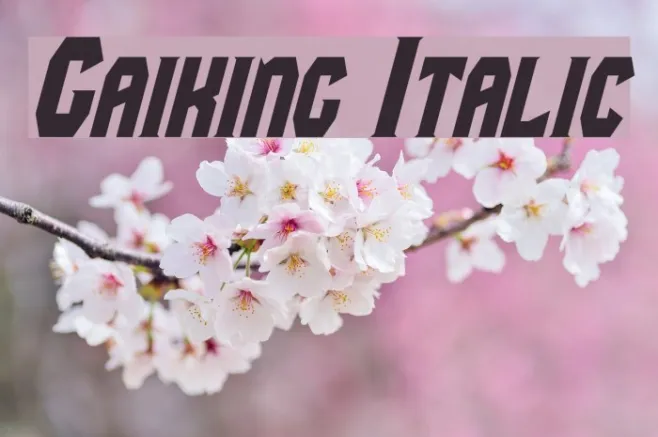 Gaiking Italic Example 2
