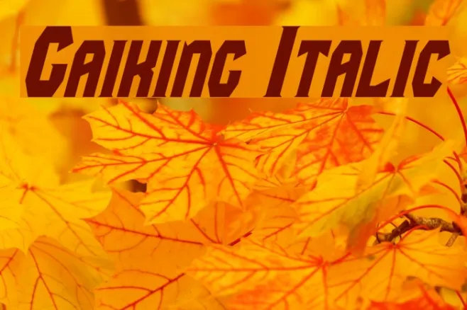 Gaiking Italic Example 3