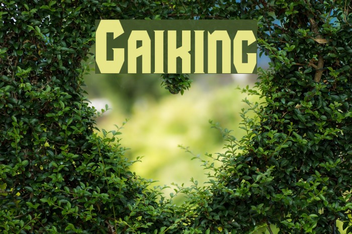 Gaiking Font examples