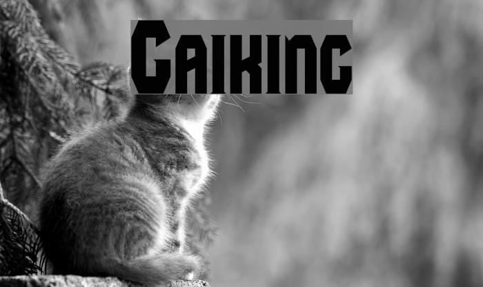 Gaiking Font examples