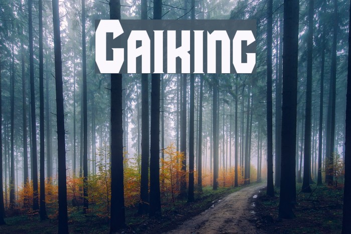 Gaiking Font examples