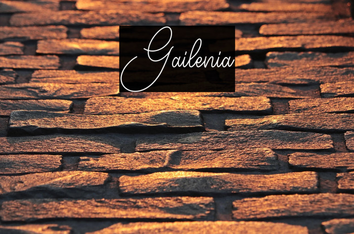 Gailenia Example 1
