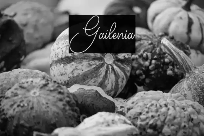Gailenia Font examples