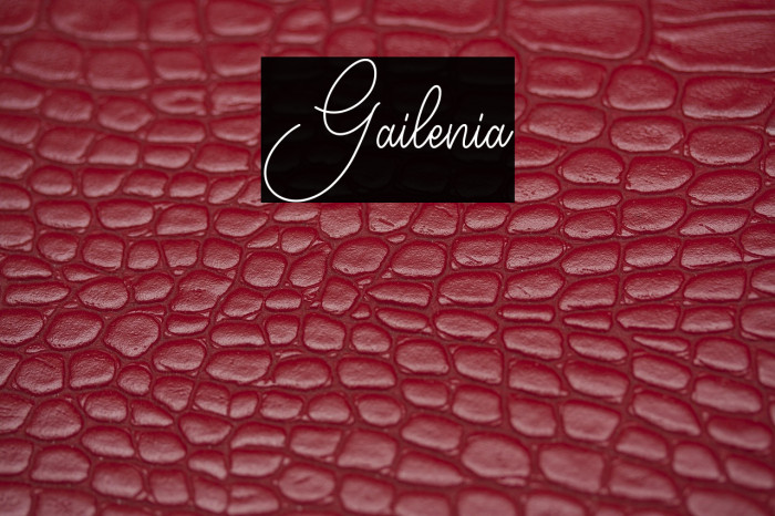 Gailenia Example 3