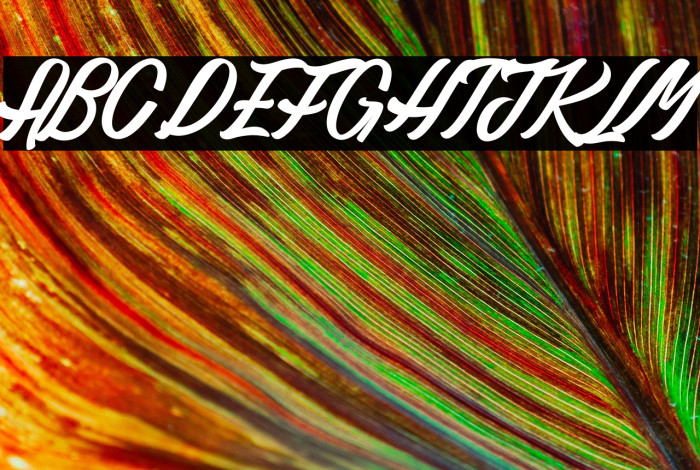 Gaillarde des Collines_PersonalUseOnly Example 1