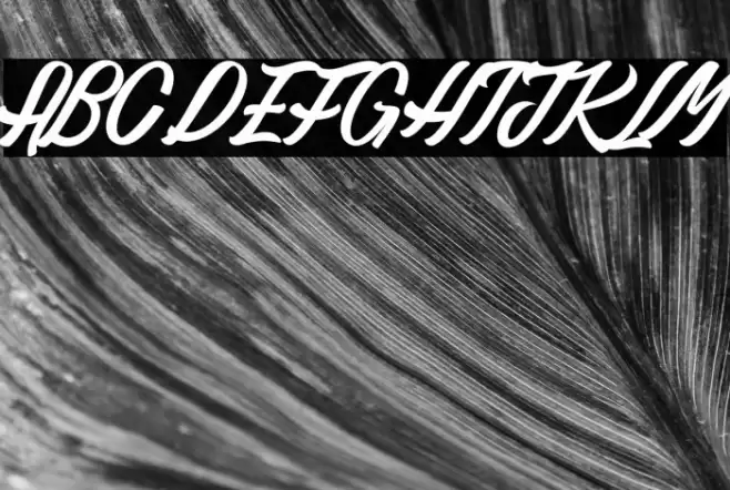 Gaillarde des Collines_PersonalUseOnly Font examples