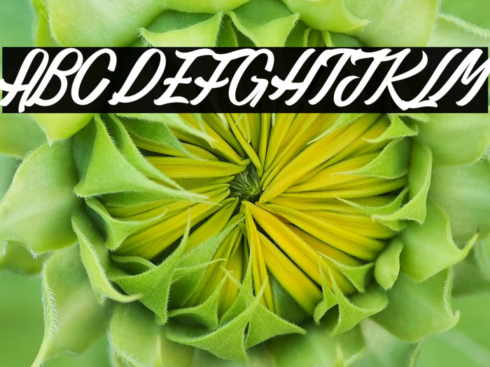 Gaillarde des Collines_PersonalUseOnly Example 3