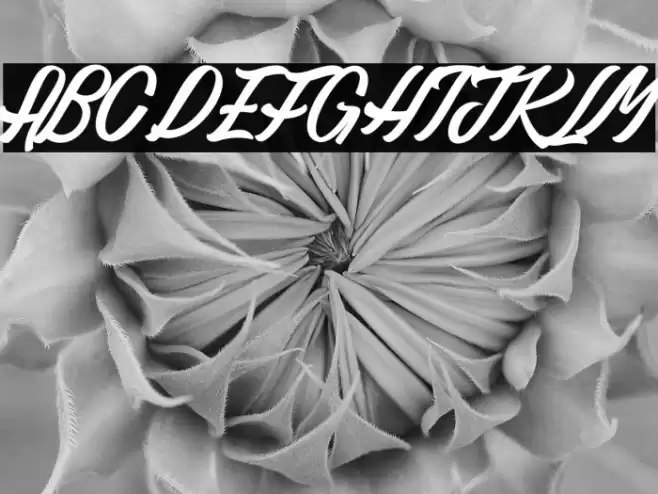 Gaillarde des Collines_PersonalUseOnly Font examples